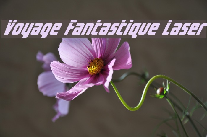 Voyage Fantastique Laser Example 1