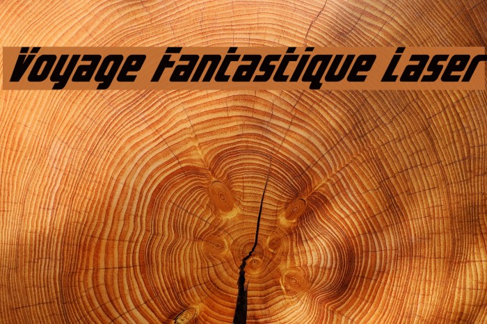 Voyage Fantastique Laser Example 2