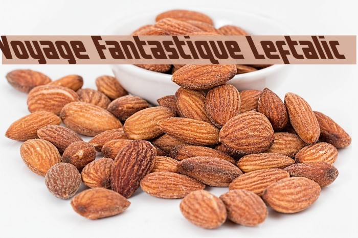 Voyage Fantastique Leftalic Caratteri examples