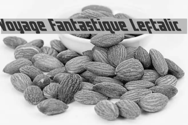 Voyage Fantastique Leftalic Font examples