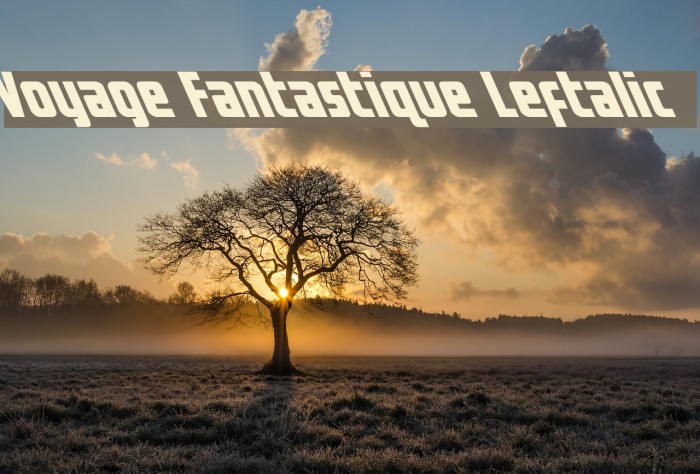 Voyage Fantastique Leftalic Caratteri examples
