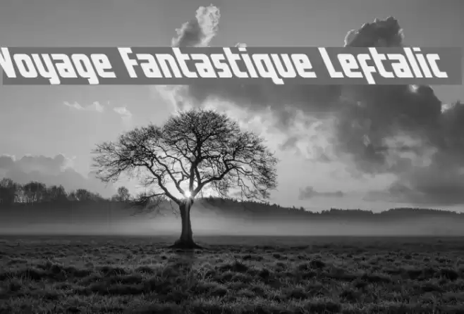 Voyage Fantastique Leftalic Font examples