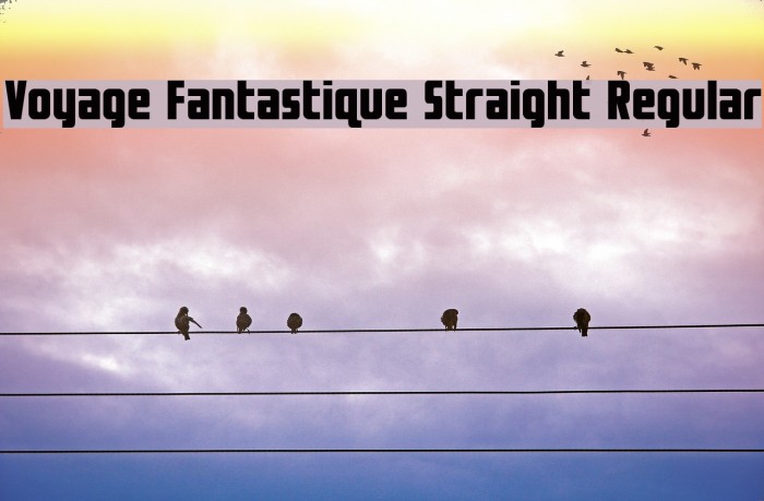 Voyage Fantastique Straight Regular Font examples