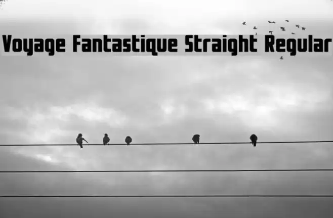 Voyage Fantastique Straight Regular Font examples