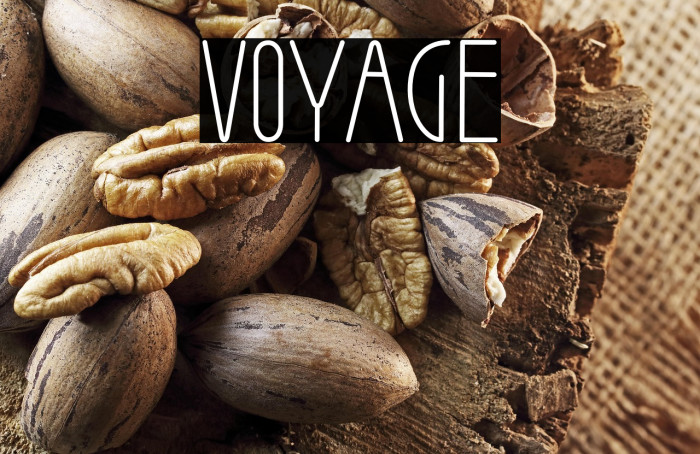 Voyage Example 1
