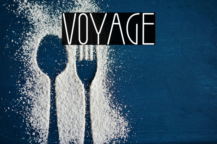 Voyage Example 2