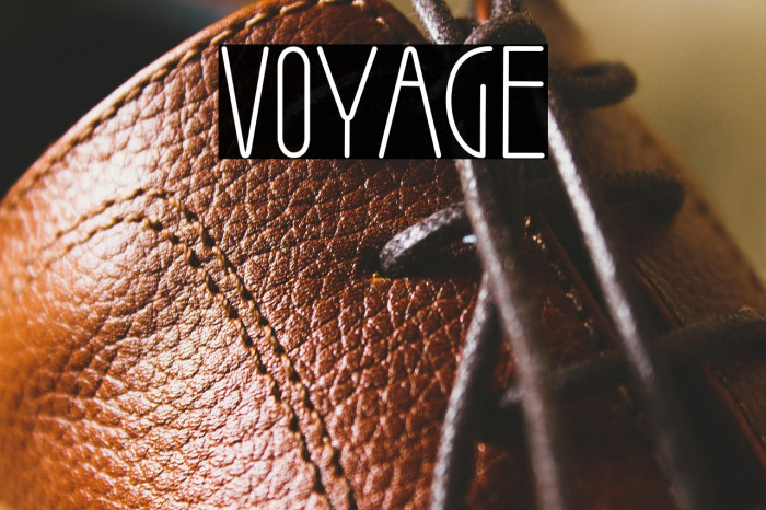 Voyage Example 3