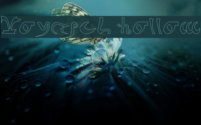 Voynich Hollow Example 2