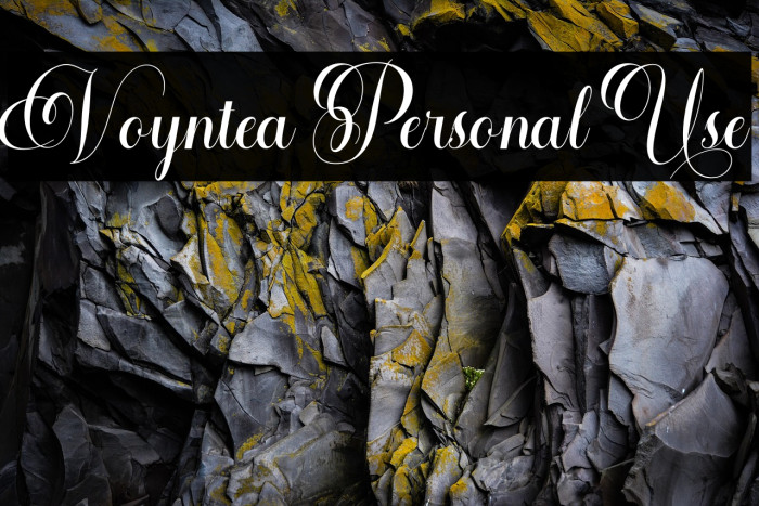 Voyntea Personal Use Example 1