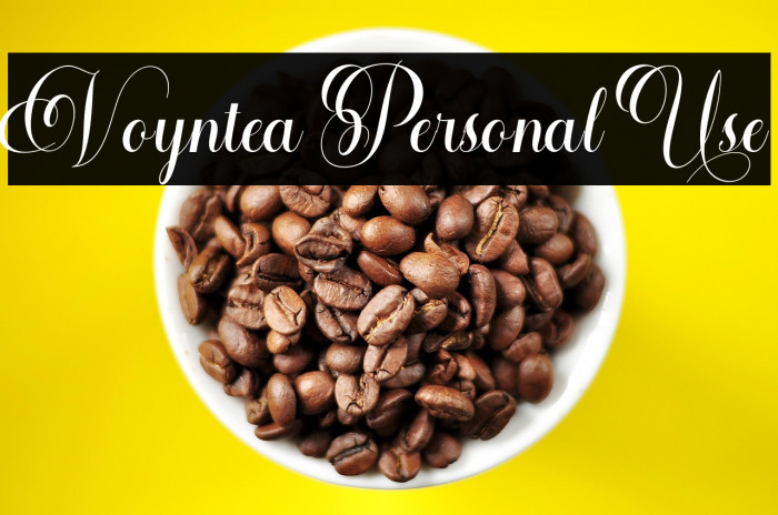 Voyntea Personal Use Example 2