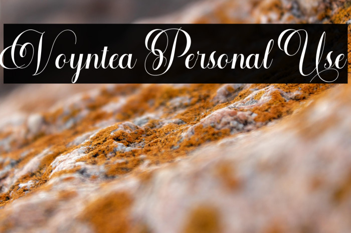 Voyntea Personal Use Example 3