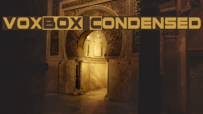 voxBOX Condensed Example 1