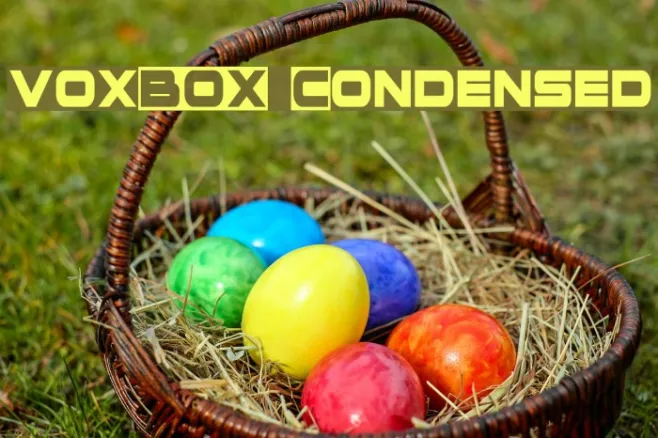 voxBOX Condensed Example 2