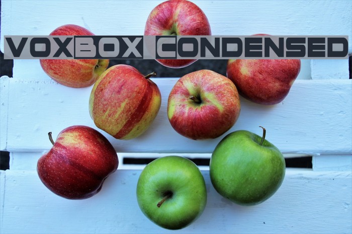 voxBOX Condensed Font examples