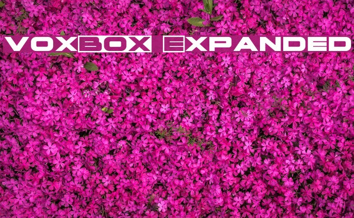 voxBOX Expanded Font examples
