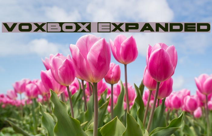 voxBOX Expanded Font examples