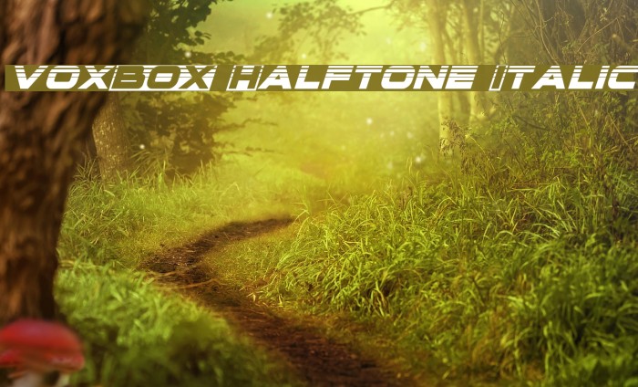 voxBOX Halftone Italic Font examples