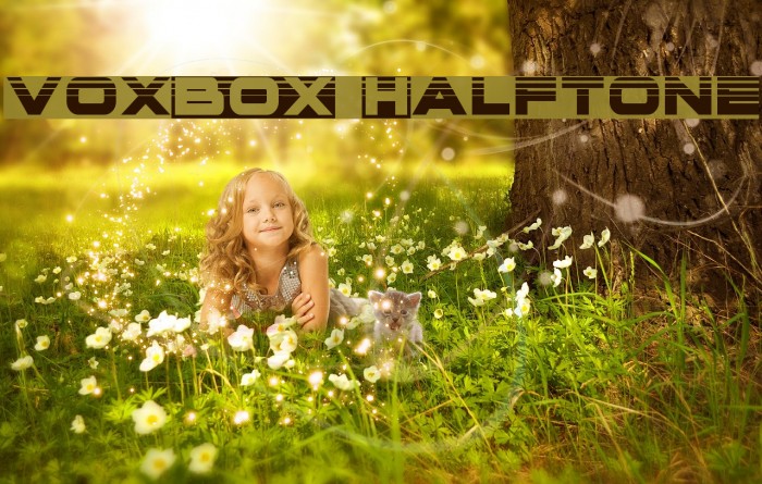 voxBOX Halftone Example 1