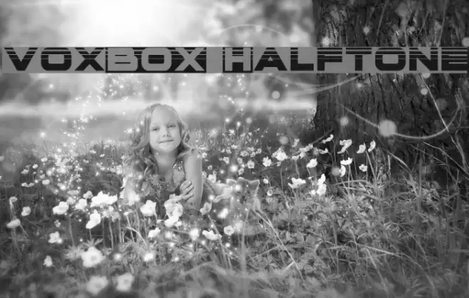 voxBOX Halftone Font examples