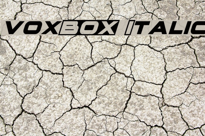 voxBOX Italic Example 1