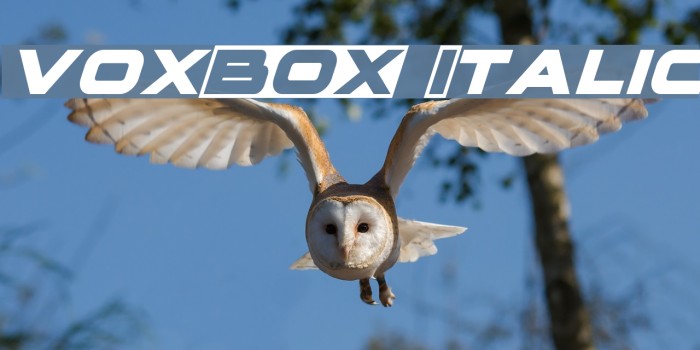 voxBOX Italic Example 2