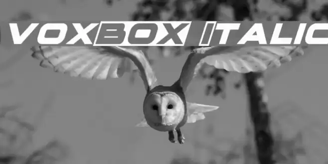 voxBOX Italic Font examples