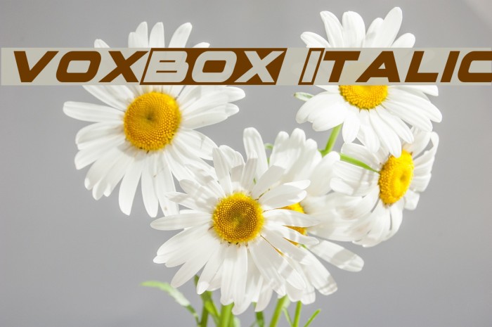 voxBOX Italic Example 3