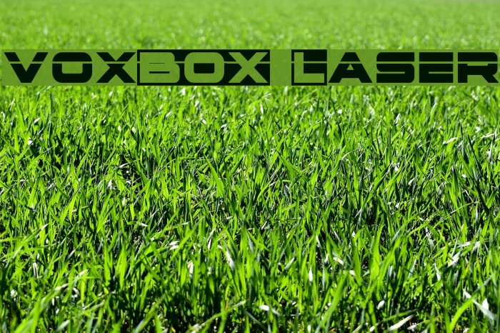 voxBOX Laser Font examples