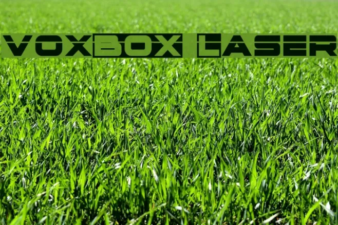 voxBOX Laser Example 1