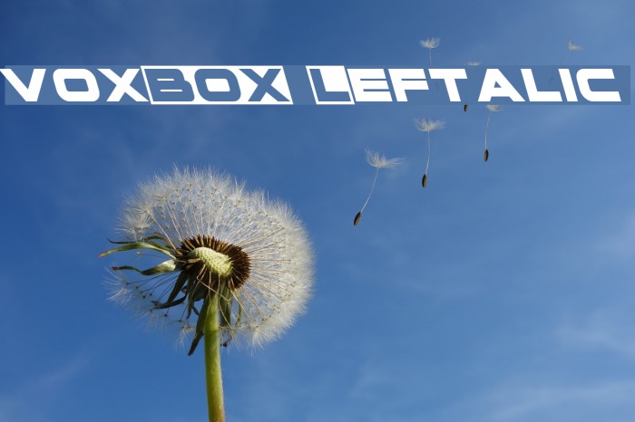 voxBOX Leftalic Example 2