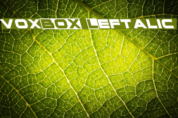 voxBOX Leftalic Example 3