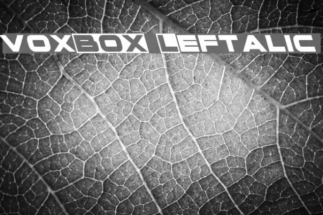 voxBOX Leftalic Font examples
