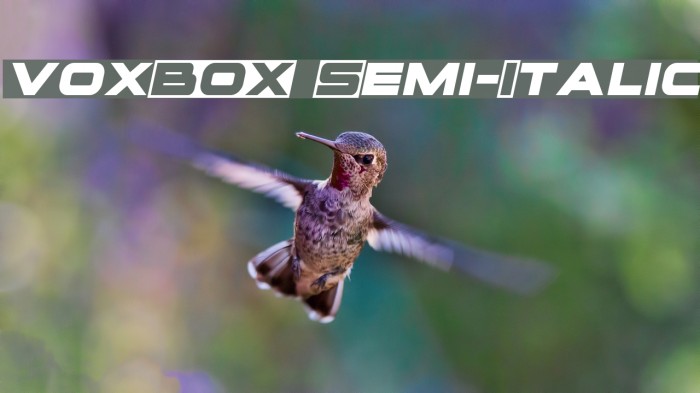 voxBOX Semi-Italic Example 1