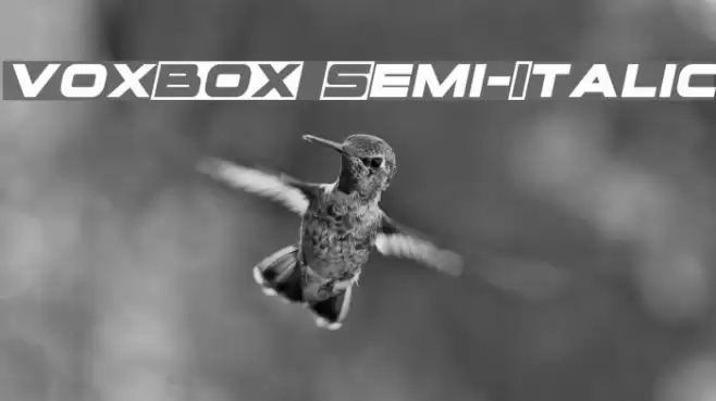 voxBOX Semi-Italic Font examples