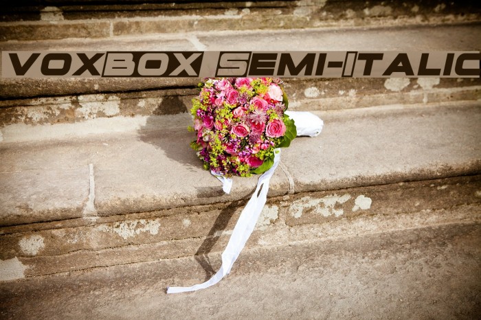 voxBOX Semi-Italic Example 3