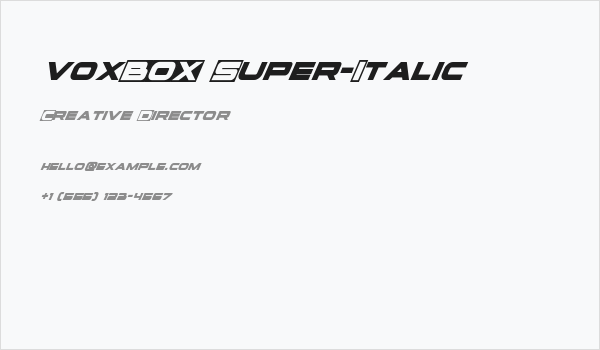 voxBOX Super-Italic Business Card