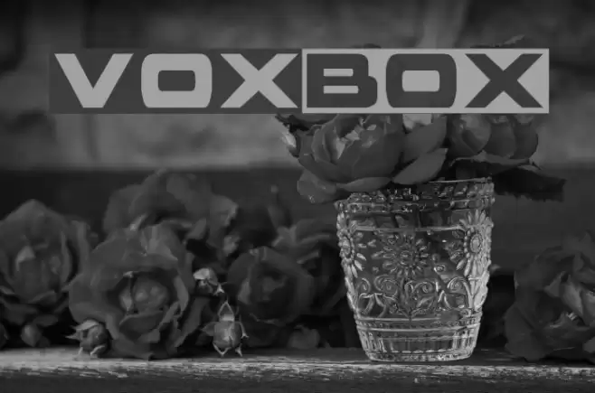 voxBOX Font examples