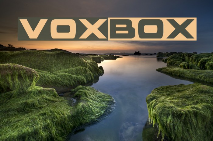 voxBOX Font examples