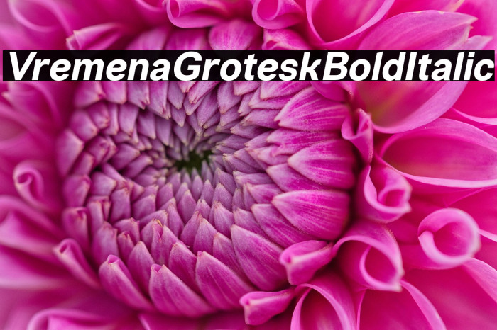 VremenaGroteskBoldItalic Example 2