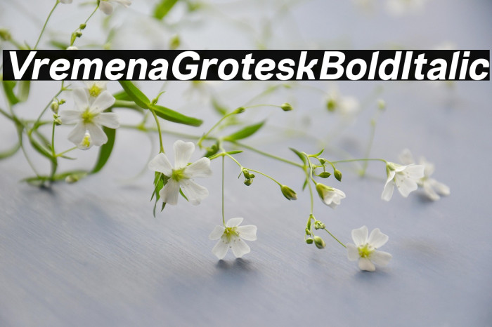 VremenaGroteskBoldItalic Example 3