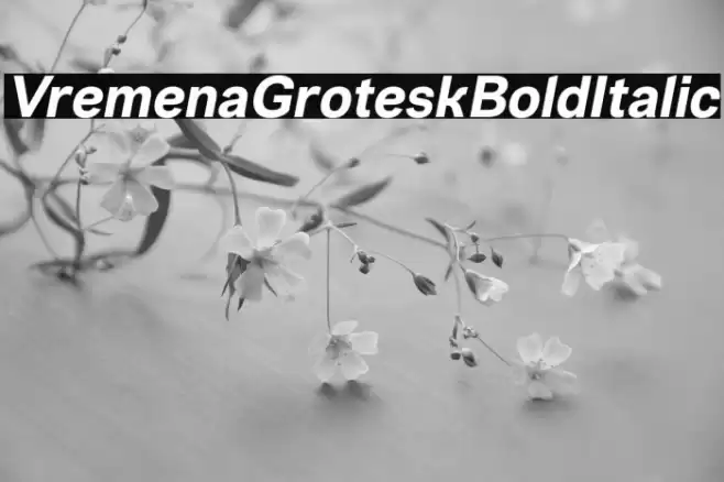 VremenaGroteskBoldItalic Font examples