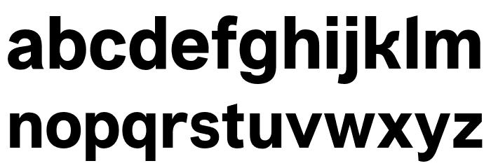 VremenaGroteskBold Font LOWERCASE