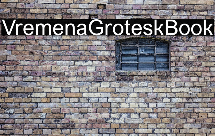 VremenaGroteskBook Example 3