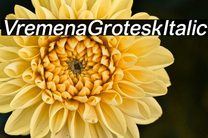 VremenaGroteskItalic Example 3