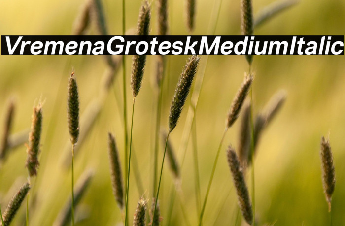 VremenaGroteskMediumItalic Example 2