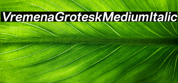 VremenaGroteskMediumItalic Example 3