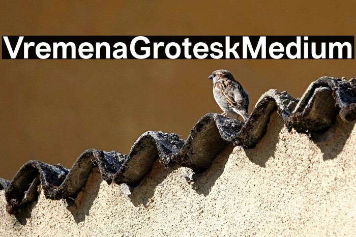 VremenaGroteskMedium Example 1