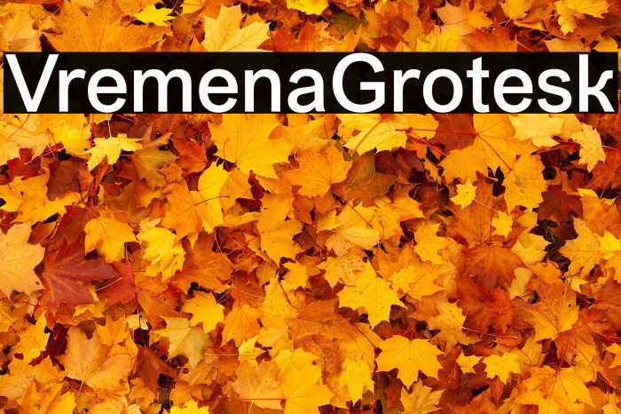VremenaGrotesk Example 3