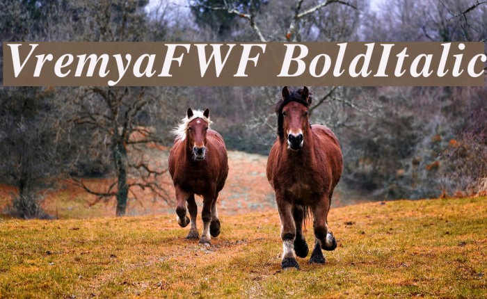 VremyaFWF BoldItalic Font examples