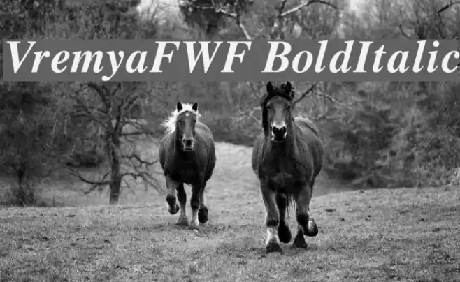 VremyaFWF BoldItalic Font examples